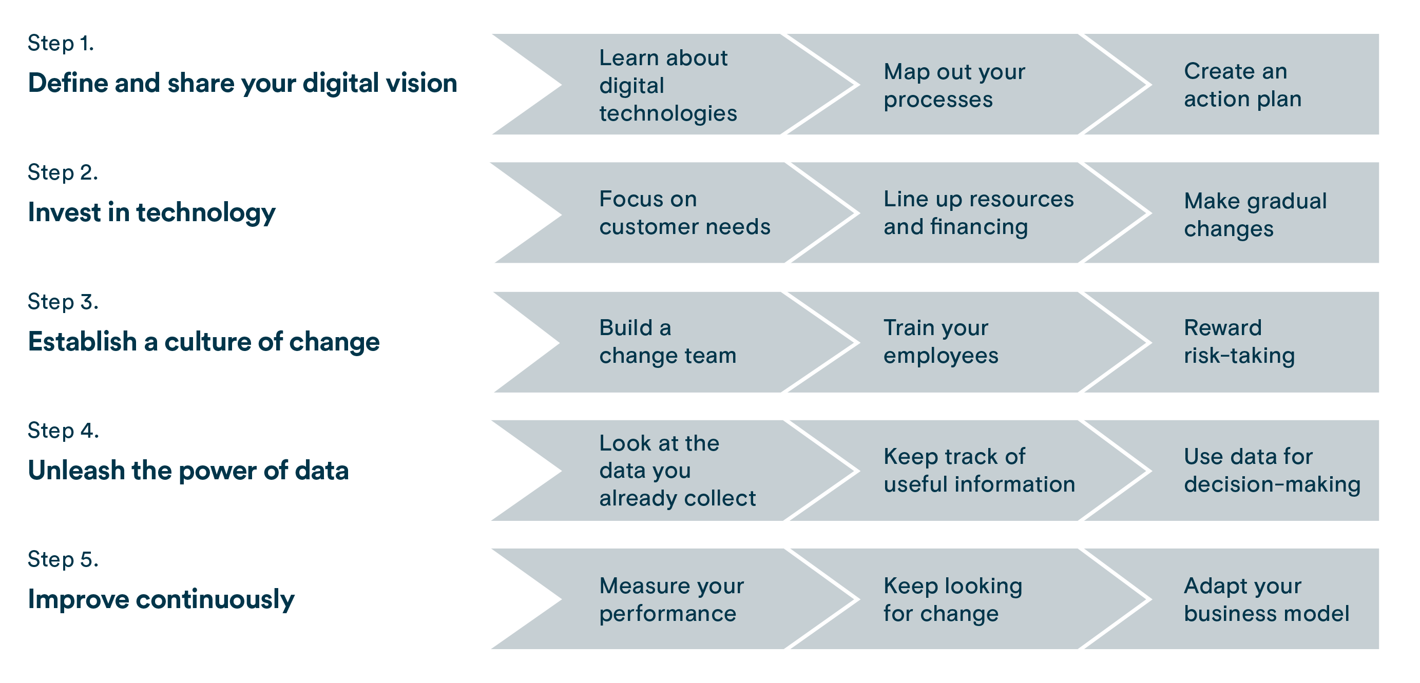 The five steps to digital maturity.