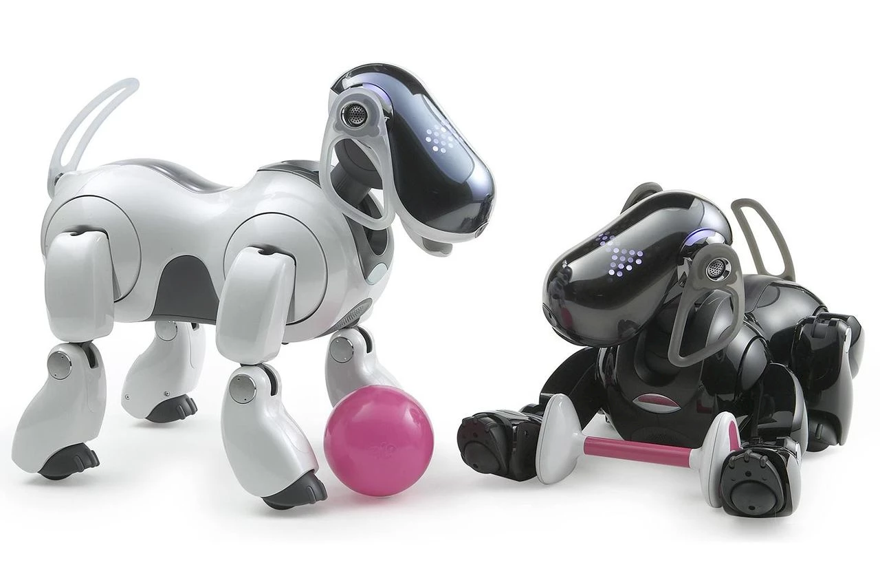 Aibo robot dogs.