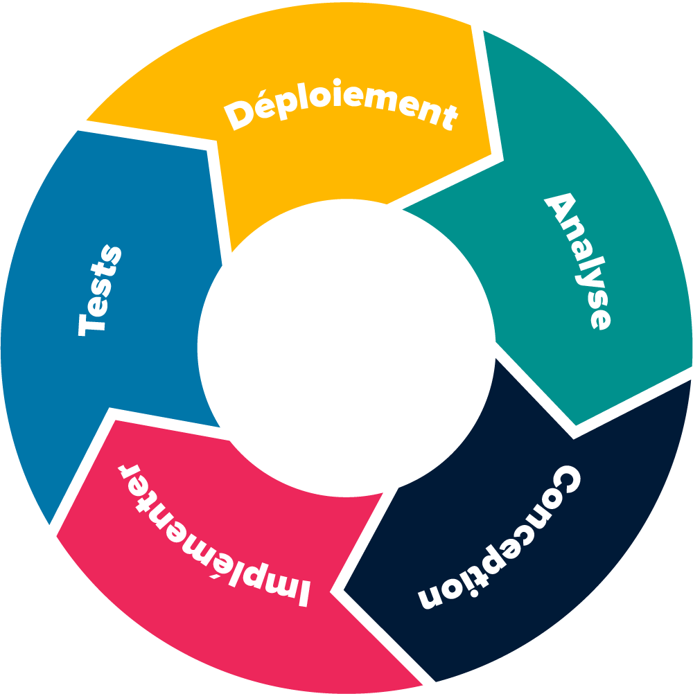 Development cycle.