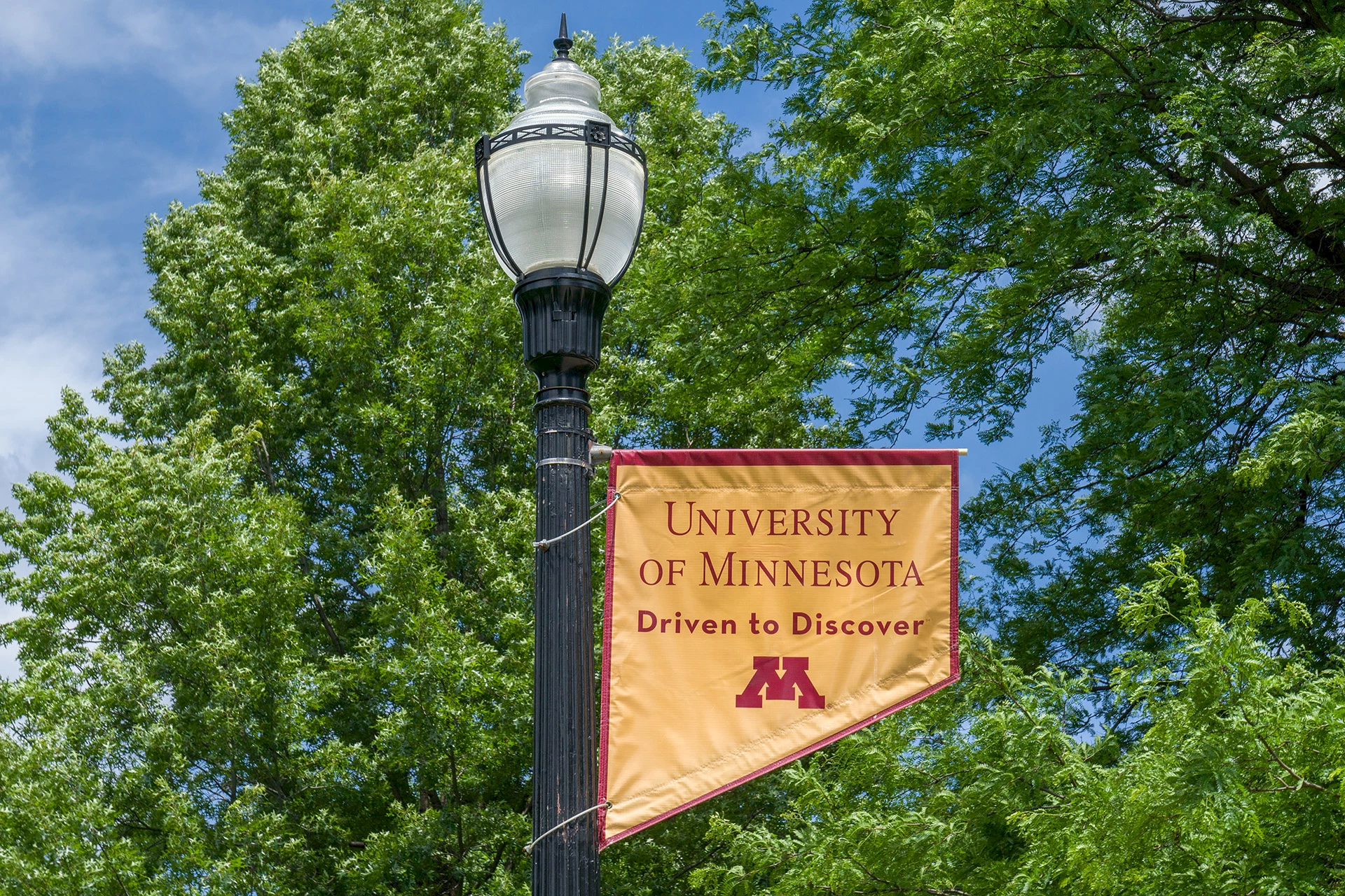 University of Minnesota.