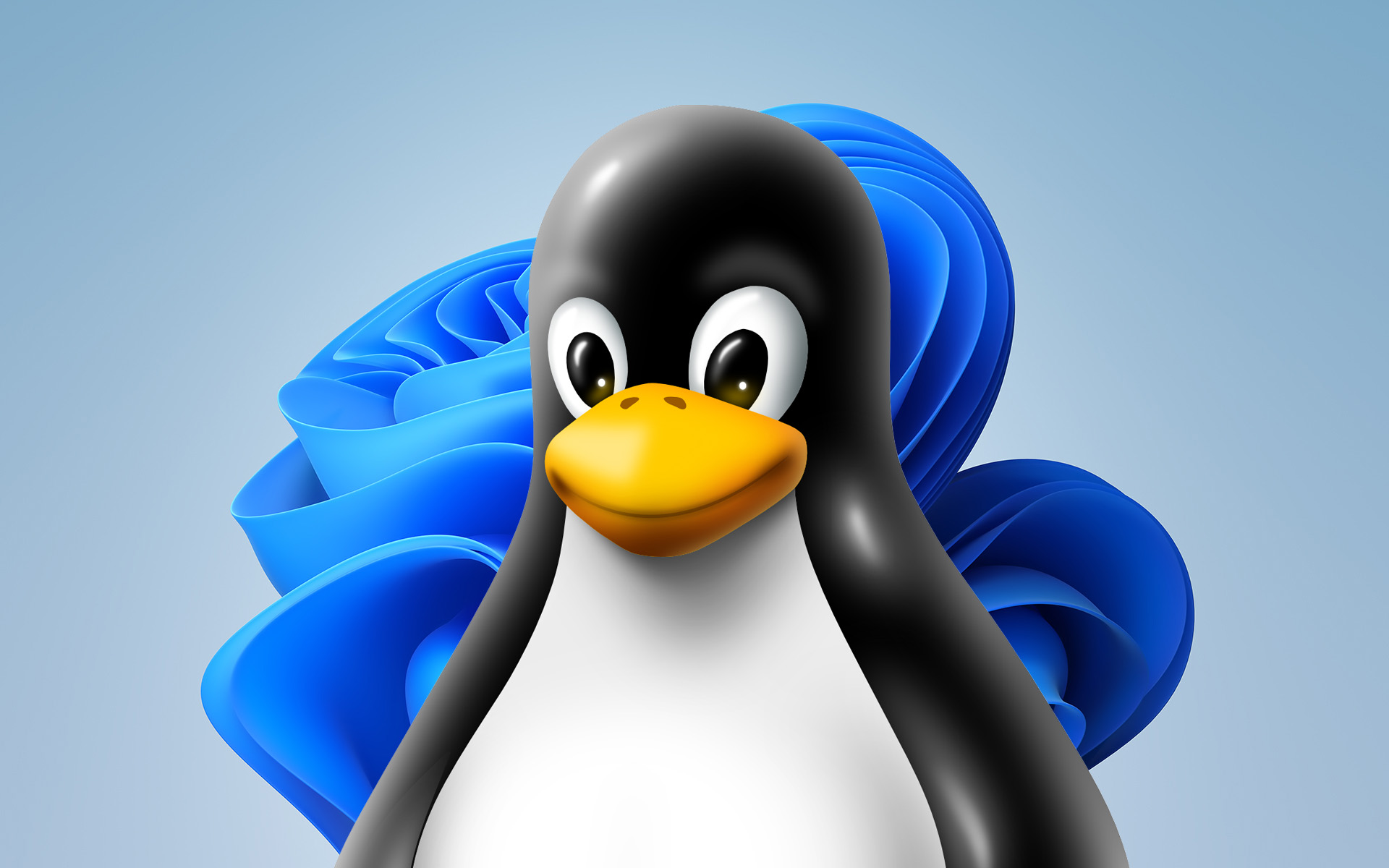 Linux on Windows 11.